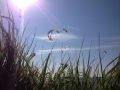 IMG-20140601-WA0013