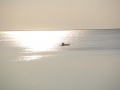 Sporti-Weekend_Jan_017