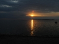 D4C_8863