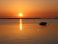IMG_3161.JPG