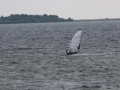 IMG_0683.JPG