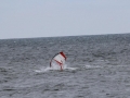 IMG_0704.JPG