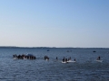 IMG_3814.JPG
