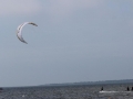 IMG_4687.JPG
