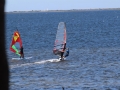 IMG_5466.JPG