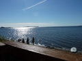 P1040586.JPG