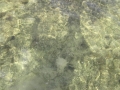 IMG_3755.JPG