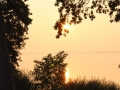 IMG_7631.JPG