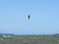 IMG_0349.JPG