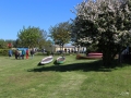 IMG_2558.JPG