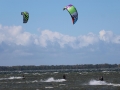 IMG_3009.JPG