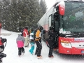 holger (54)