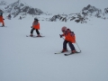 martin (284)