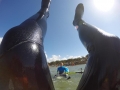 DCIM\100GOPRO\GOPR0472.