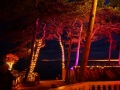 DSC01357