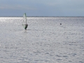 DSC01401