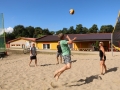 gerlachs (220)