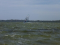 P1010638