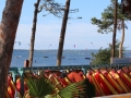 img (2)