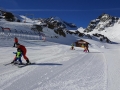 holger (218)