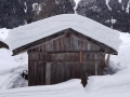 Winter2018 (162)