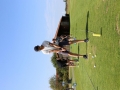 2018_07 Sportiwoche website 398