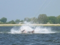 2019_Kitesurfcamp-664