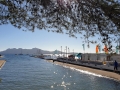 2019_Mallorca-Familyurlaub-65