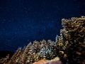 2019 Pitztal Website 350