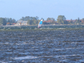 2021_Urlaub-Ruegen-Wiek-26