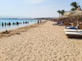 2022_Aegypten-Soma-Bay-16