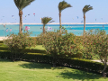 2022_Aegypten-Soma-Bay-27