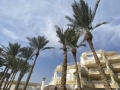 2022_Aegypten-Soma-Bay-40