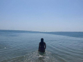 2022_Aegypten-Soma-Bay-60