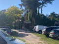 2022_03-Pfingsten-Jan-195
