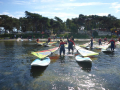 2022_07-Spaetsommer-Surfen-13