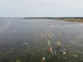 2022_07-Spaetsommer-Surfen-18