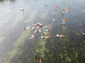 2022_07-Spaetsommer-Surfen-43