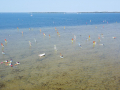 2023_03-Pfingst-Surfen-3