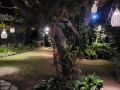 2023_05-Sao-Miguel-do-Gotoso-1