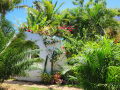2023_05-Sao-Miguel-do-Gotoso-15