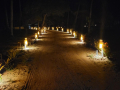2023_05-Sao-Miguel-do-Gotoso-40