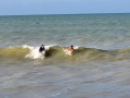2023_05-Sao-Miguel-do-Gotoso-47