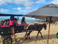 2023_06-Galinhos-Brazil-17