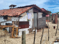 2023_06-Galinhos-Brazil-19