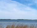 2023_Kitesurfcamp-103