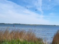 2023_Kitesurfcamp-104