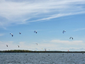 2023_Kitesurfcamp-114