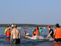 2023_09_Spaetsommer-Surfen-315