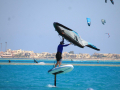 2024-Surfmotion-36